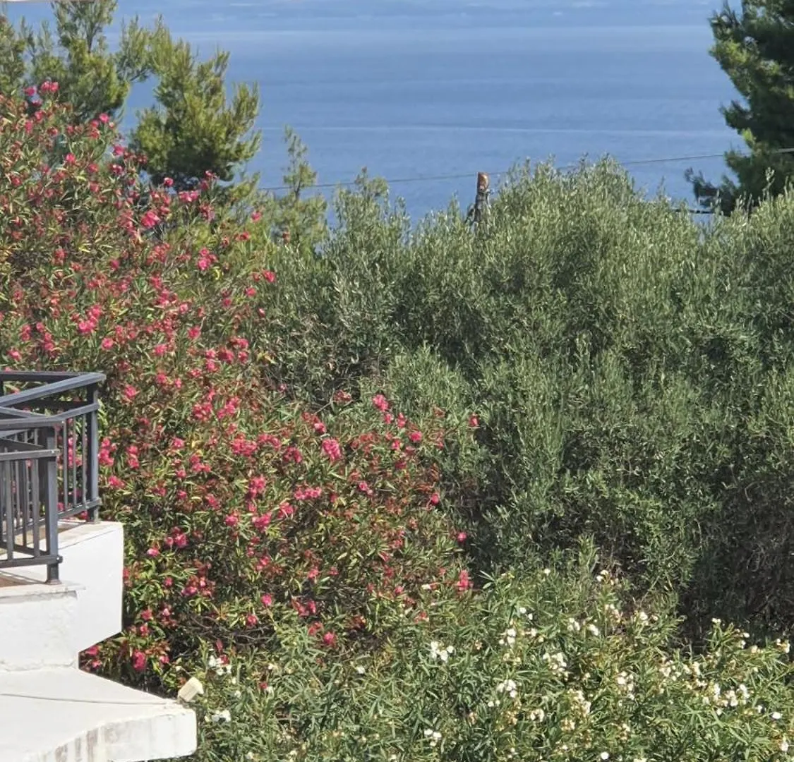 Hotel Pashos Κρυοπηγή Ελλάδα